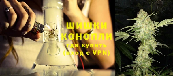 гидра Аркадак